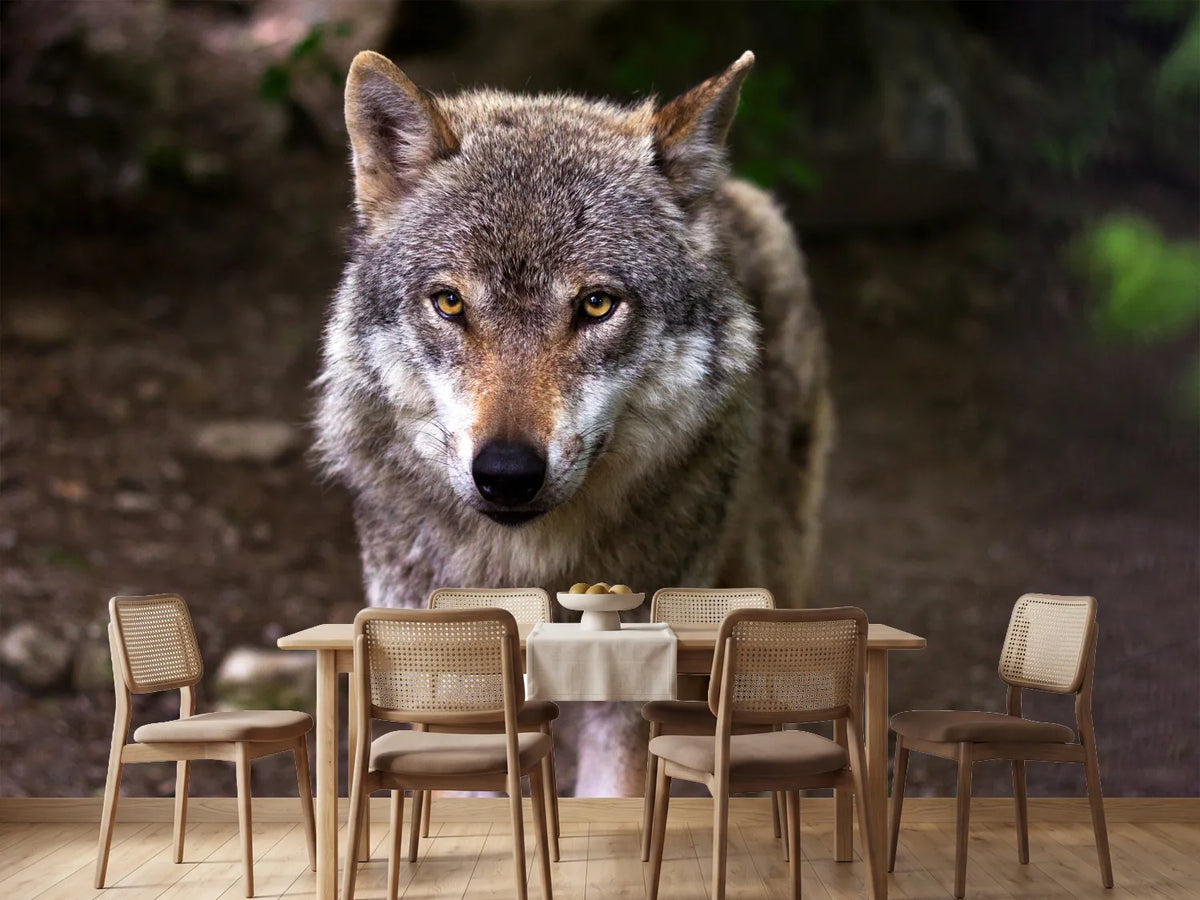 photo-wallpaper-the-evil-wolf