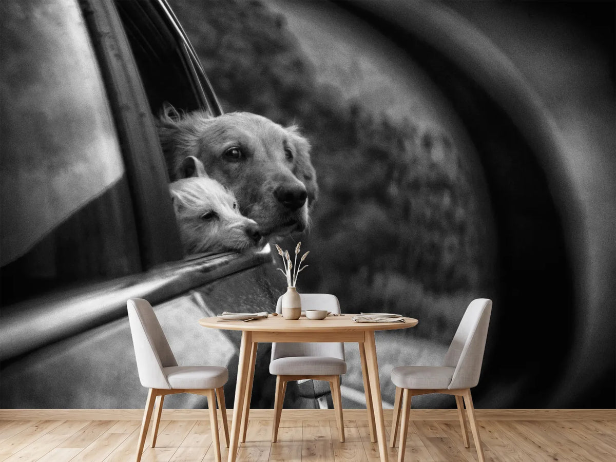 photo-wallpaper-roadtrip-x