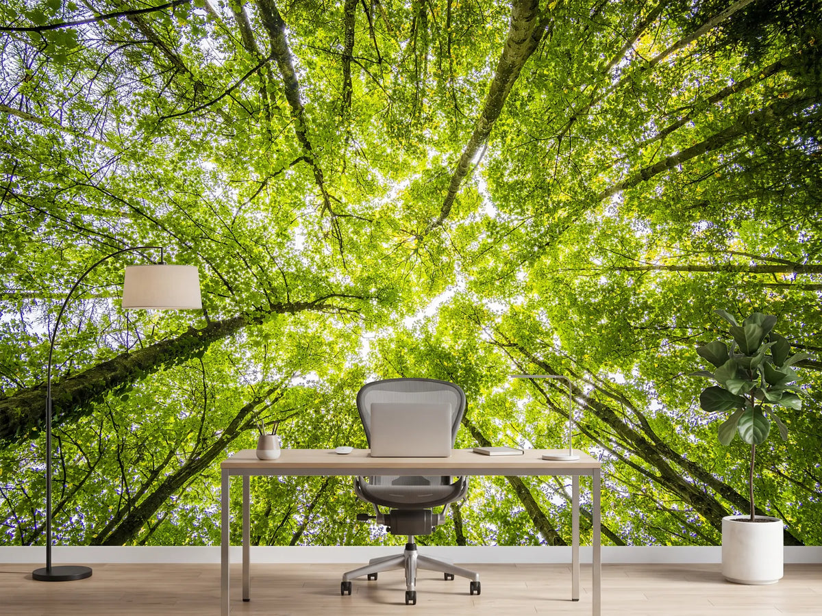 photo-wallpaper-under-the-treetops
