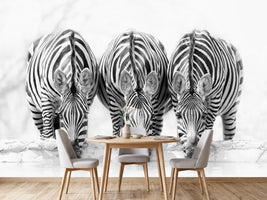 photo-wallpaper-zebras-xbj