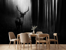 photo-wallpaper-stag