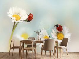 photo-wallpaper-springtime-xtp