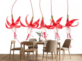 photo-wallpaper-fuchsia-x