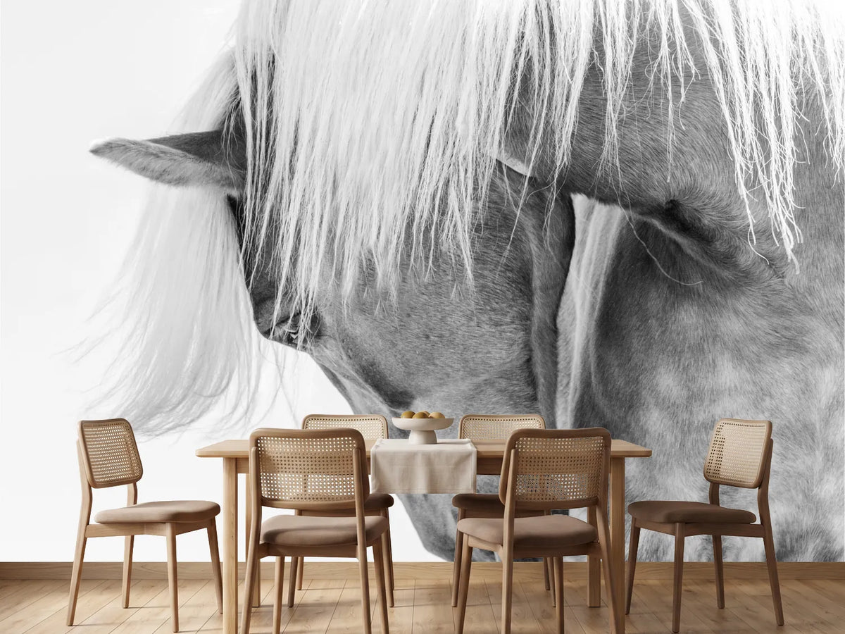 photo-wallpaper-serene-horse-portrait