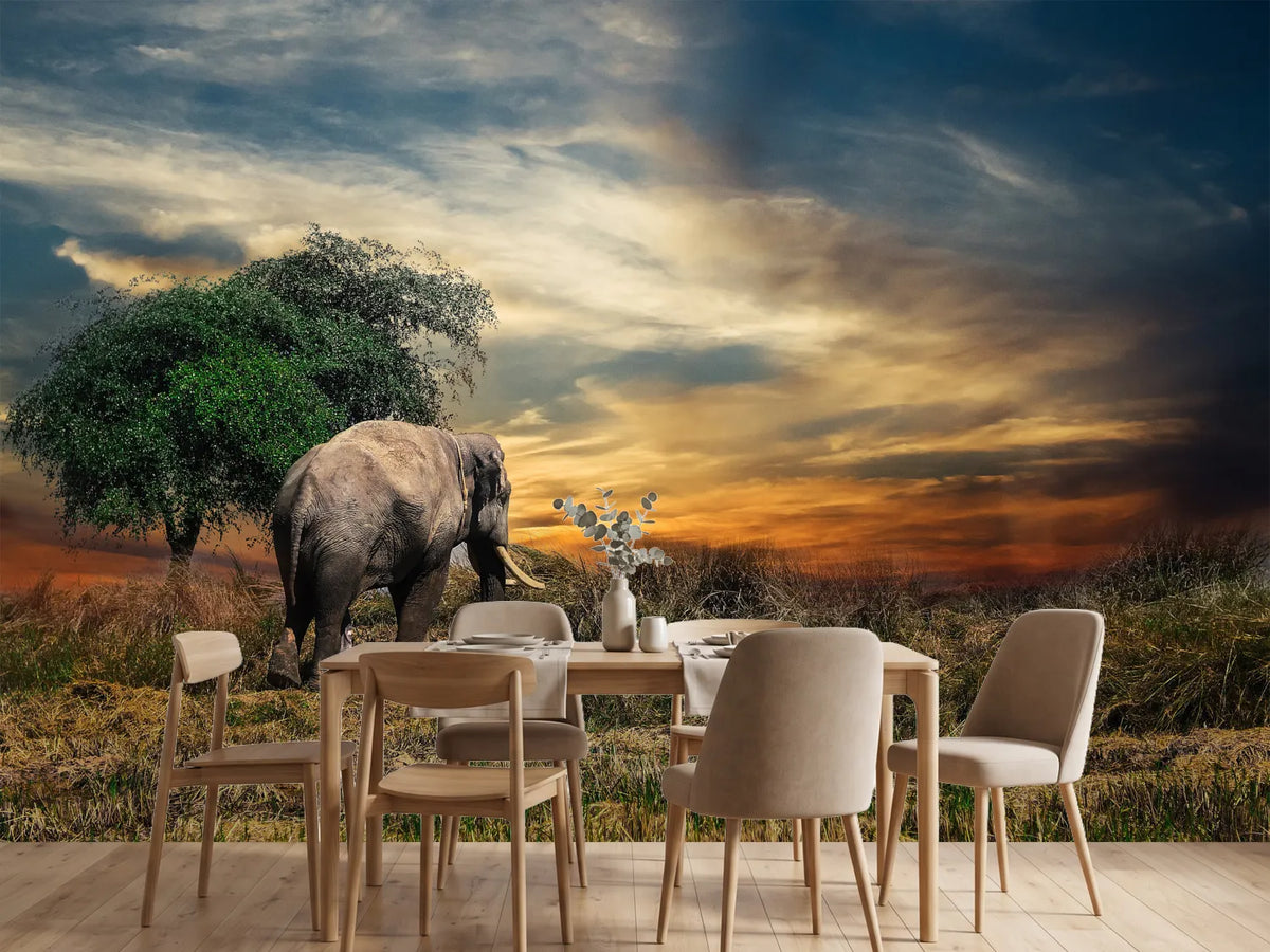 photo-wallpaper-the-elephant-in-the-sunset