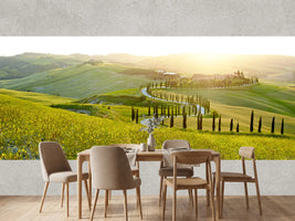 photo-wallpaper-sunny-fields-in-tuscany-italy