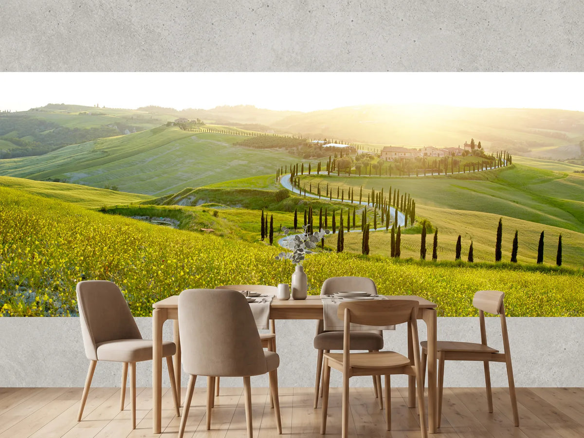 photo-wallpaper-sunny-fields-in-tuscany-italy