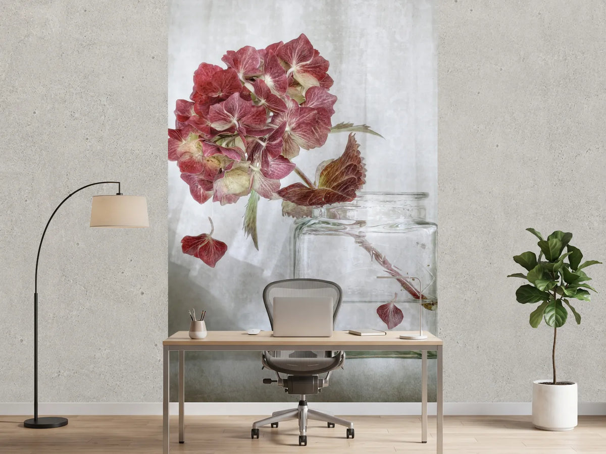 photo-wallpaper-hydrangea-xaa