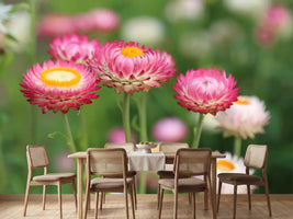 photo-wallpaper-flowers-of-spring