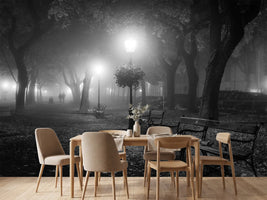 photo-wallpaper-foggy-day-x