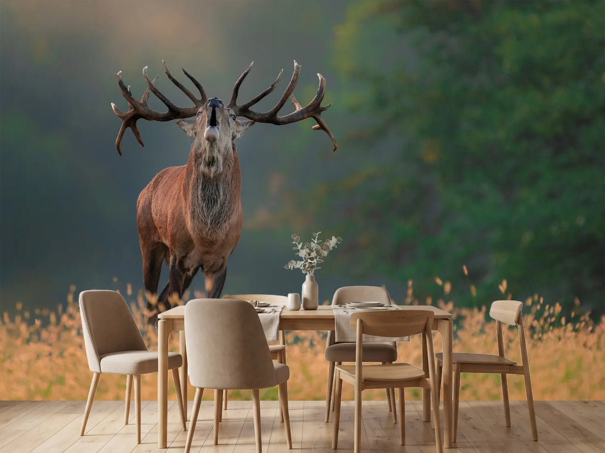 photo-wallpaper-deer-wedding-song-x