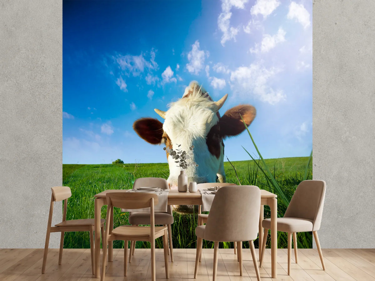 photo-wallpaper-the-cow
