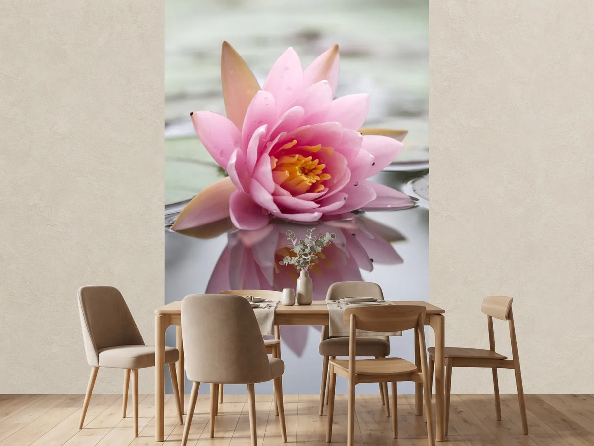 photo-wallpaper-lotus