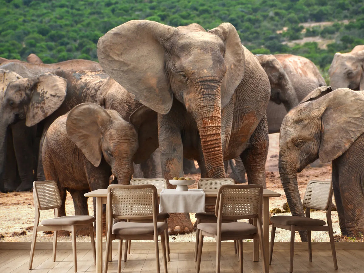 photo-wallpaper-elephant-herd-in-africa