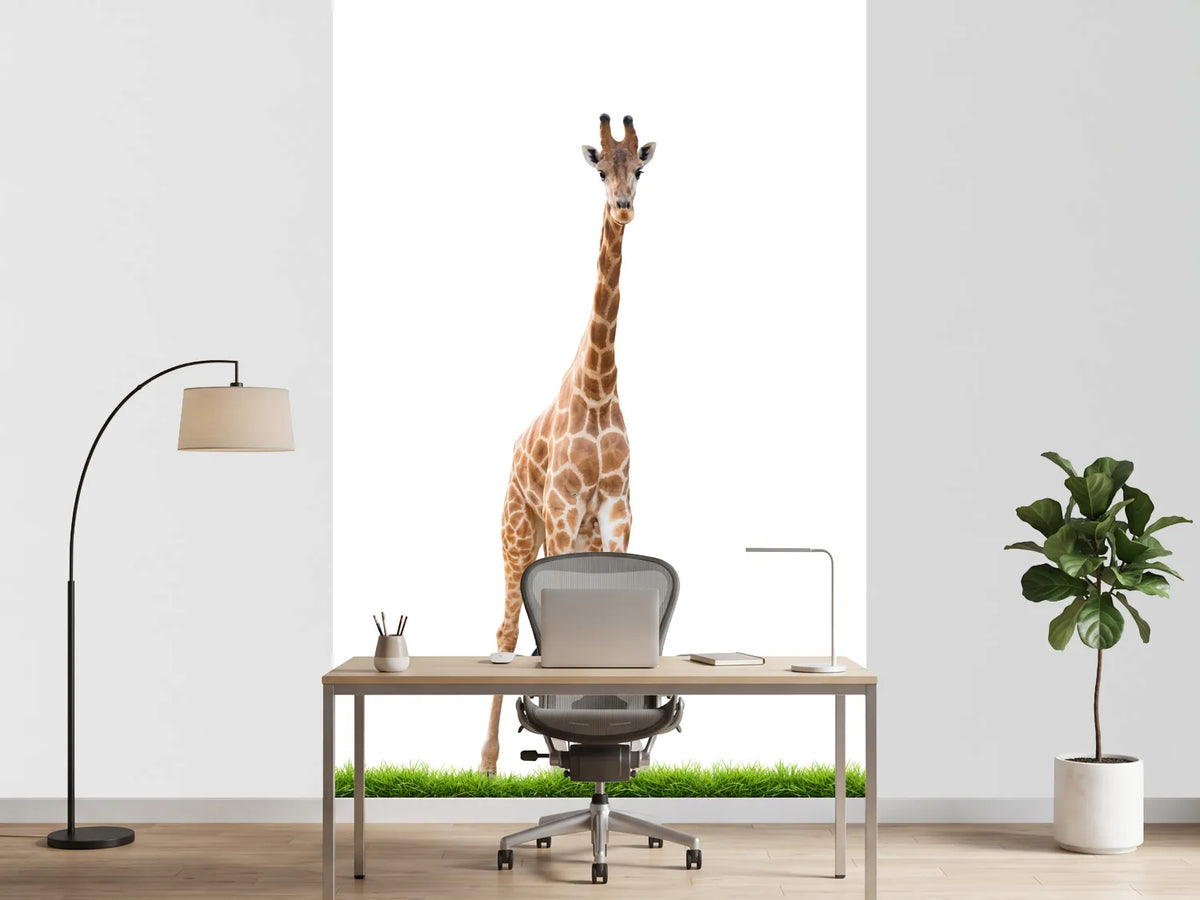 photo-wallpaper-the-long-giraffe