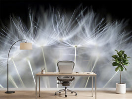 photo-wallpaper-blow-it-x