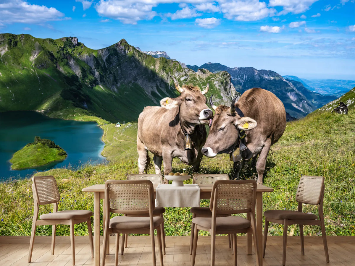 photo-wallpaper-cows-caressing-and-grooming