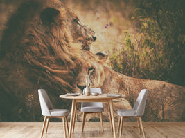 photo-wallpaper-we-qflyq-together-x