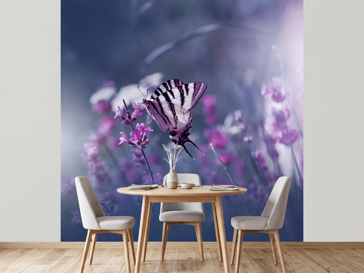 photo-wallpaper-lavender-queen-x