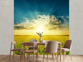 photo-wallpaper-sunflowers-in-the-evening-sun