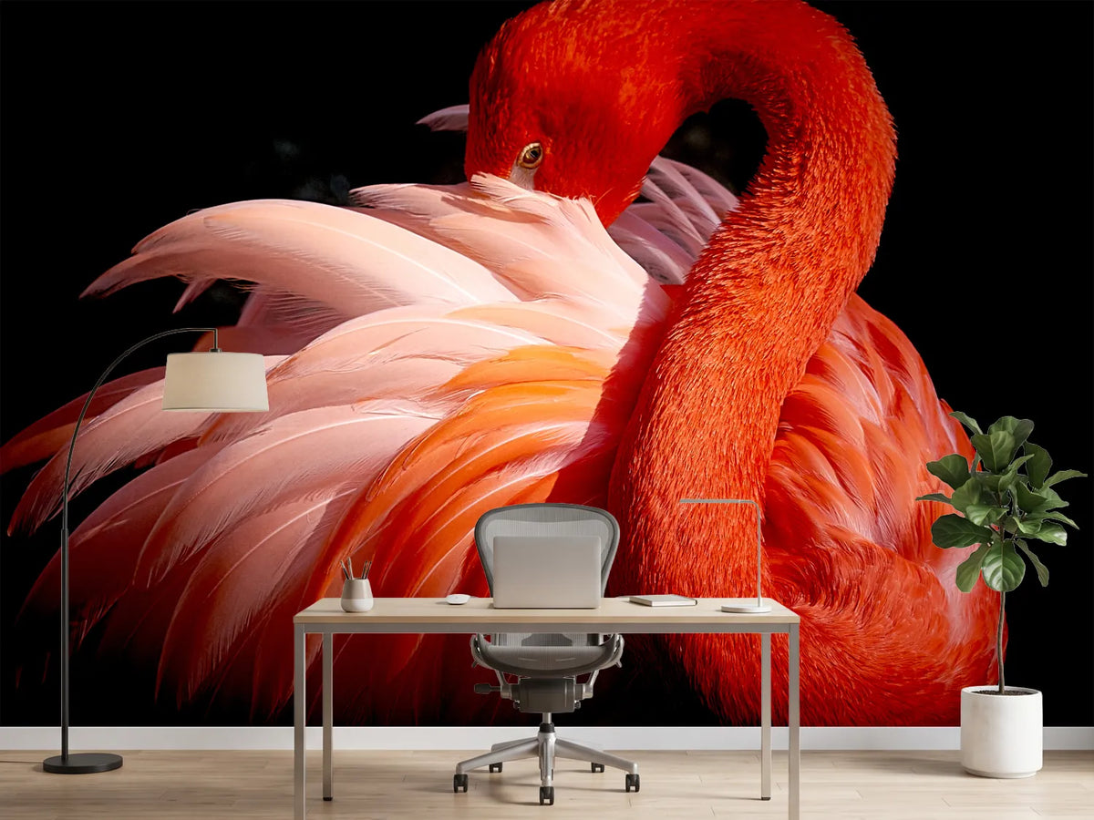 photo-wallpaper-flamingo-xoc