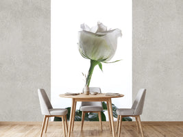 photo-wallpaper-on-behalf-of-the-rose
