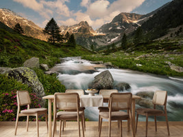photo-wallpaper-maritime-alps-park-x