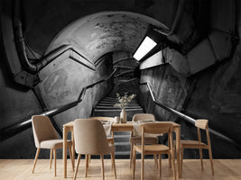 photo-wallpaper-down-the-rabbit-hole-x