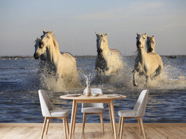 photo-wallpaper-horses-in-the-sea
