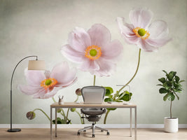 photo-wallpaper-anemones-ii