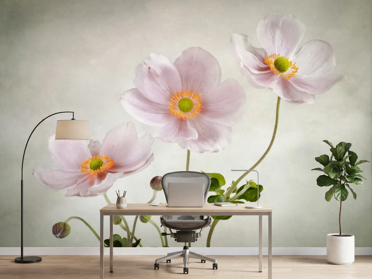 photo-wallpaper-anemones-ii