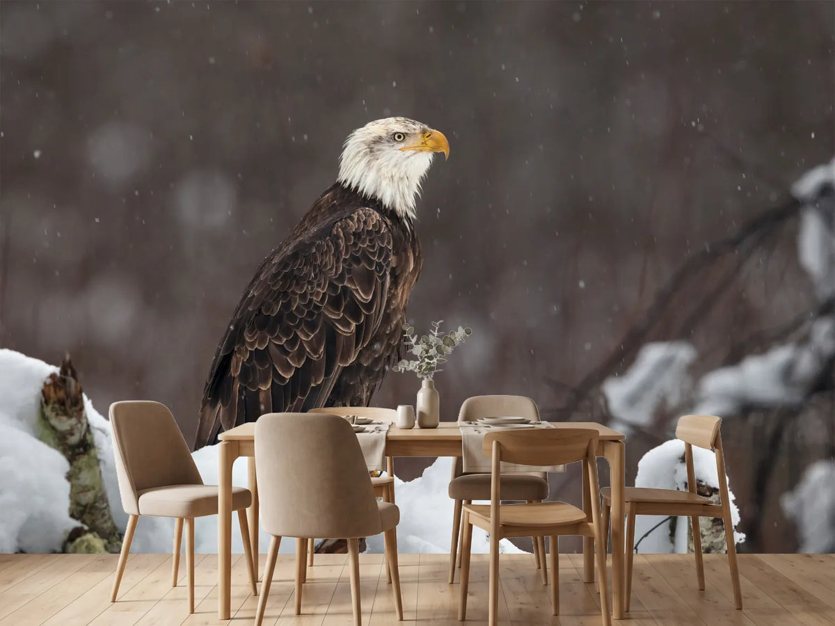 photo-wallpaper-proud-but-cold-x