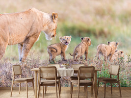 photo-wallpaper-lets-go-mom