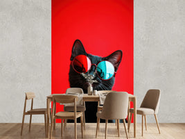 photo-wallpaper-black-cat-in-round-sunglasses-against-vivid-red