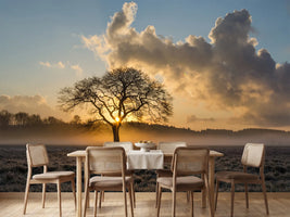 photo-wallpaper-a-lonely-tree