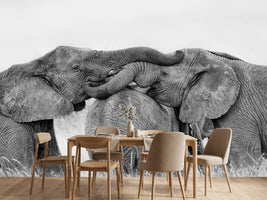 photo-wallpaper-elephant-playing-x