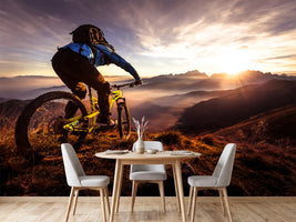 photo-wallpaper-sunset-trail-ride-x