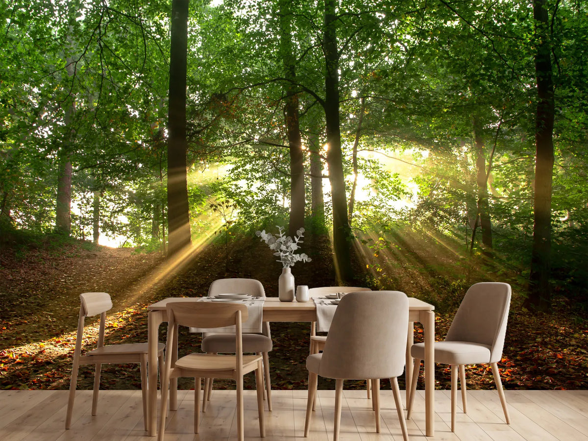 photo-wallpaper-sun-in-the-forest
