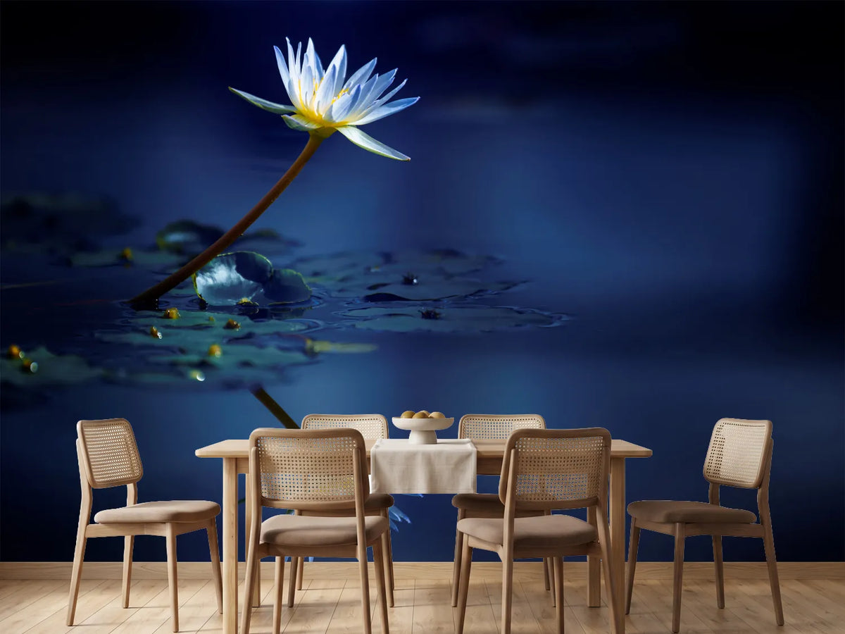 photo-wallpaper-reflection-xdb