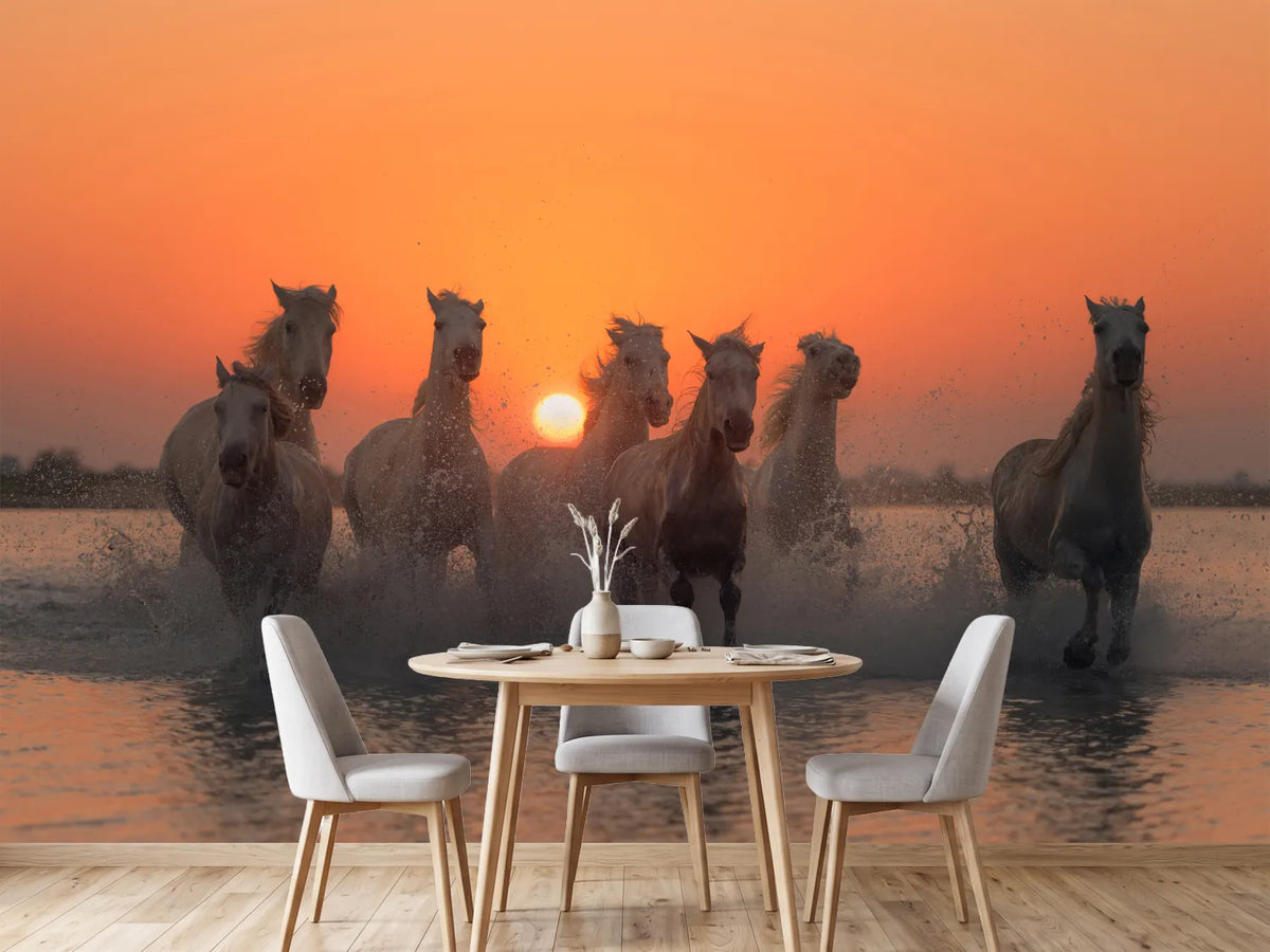 photo-wallpaper-sunset-in-camargue-x