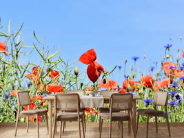 photo-wallpaper-the-poppy-in-the-flower-meadow