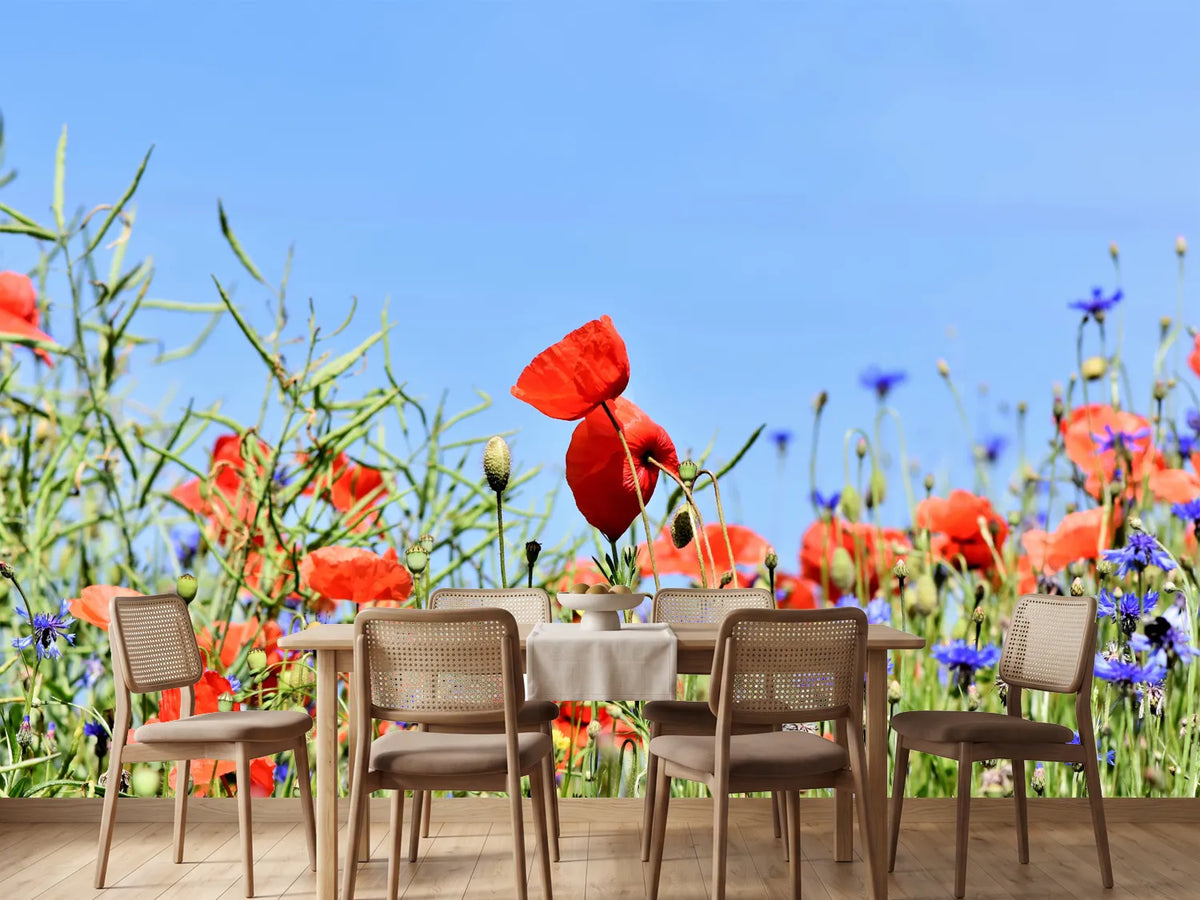 photo-wallpaper-the-poppy-in-the-flower-meadow