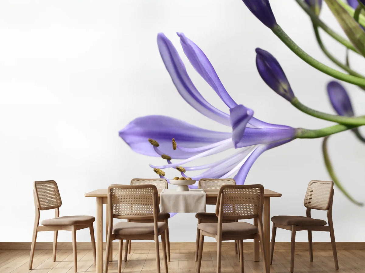 photo-wallpaper-lily-flower-in-purple