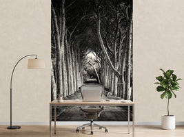 photo-wallpaper-alley