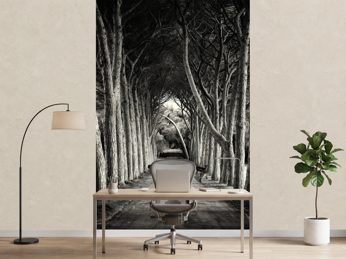 photo-wallpaper-alley