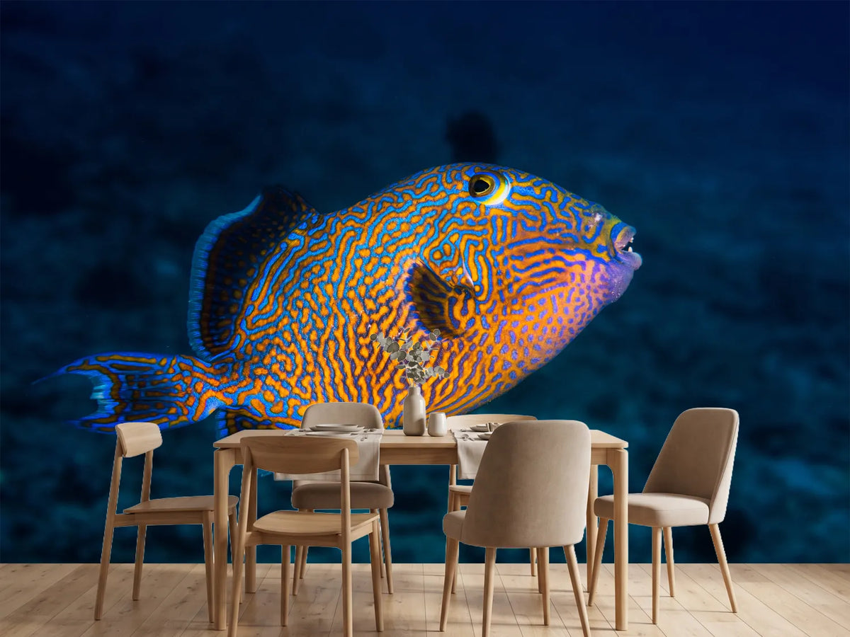 photo-wallpaper-blue-triggerfish