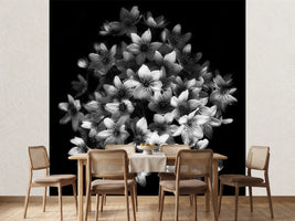 photo-wallpaper-early-sensation
