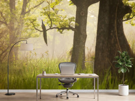photo-wallpaper-peacock-in-misty-forest