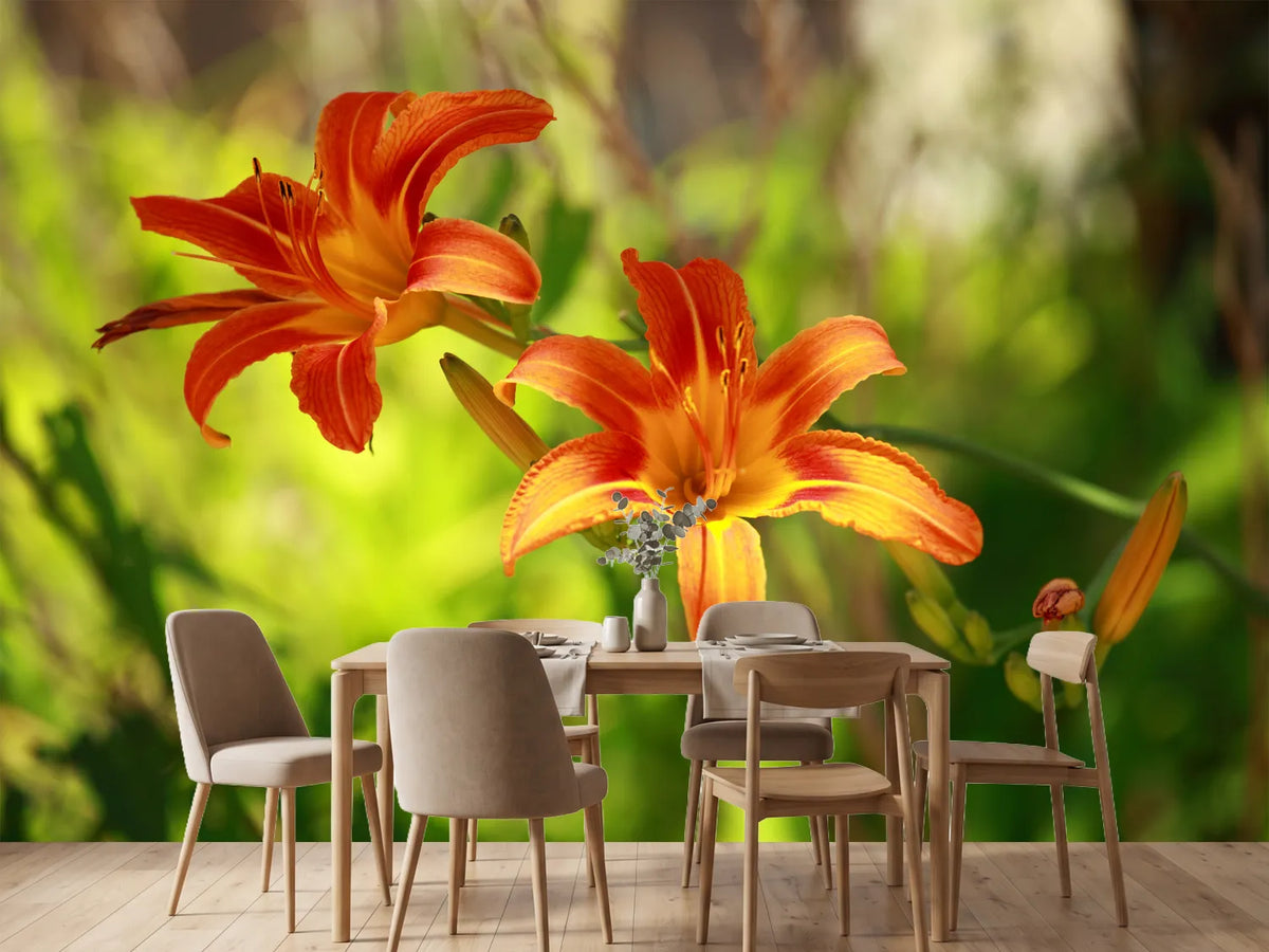 photo-wallpaper-lilies-in-nature