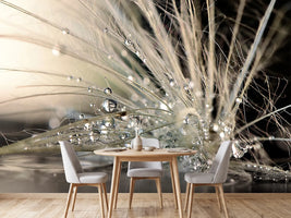photo-wallpaper-pearls-x